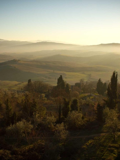 Soft morning light over rolling hills