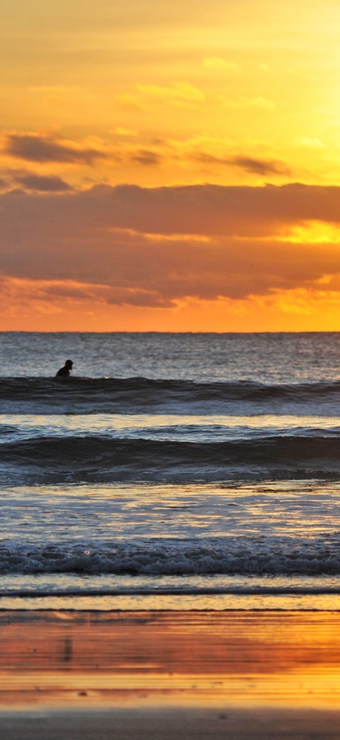 An evening swim in a golden sea